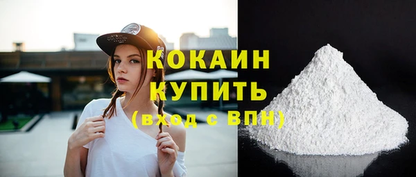 твердый Абаза