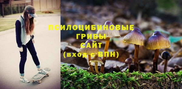круглые Алексеевка