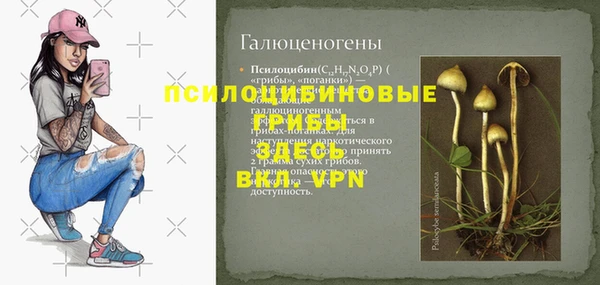 метадон Пестово