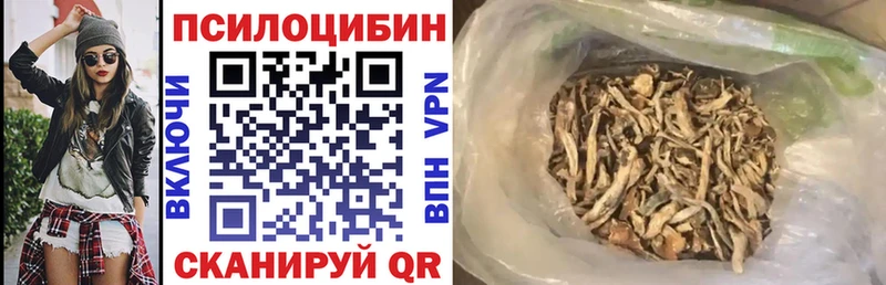 как найти наркотики Алексин Галлюциногенные грибы мицелий